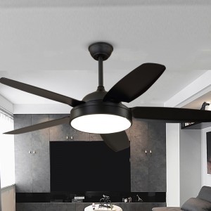 Fan Solas FL Z BS5121 52