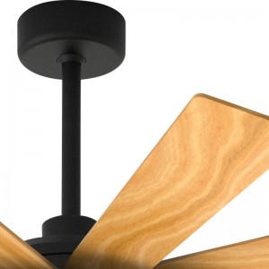 Fan Solas FL Z BS9631 52