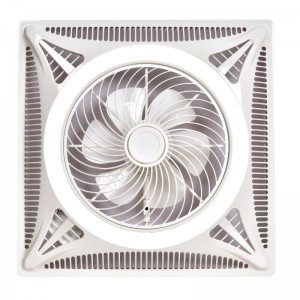 Solas Fan fl wtbg40 598