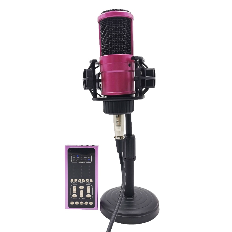 FB-LSC500 Super Méid Slim Super Guth Multifunctional Voice Changer Cárta fuaime beo agus micreafón tacar