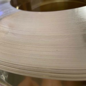 Stiallchartún práis