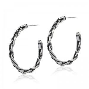 An leagan Cóiréis den faisean agus cluaise álainn