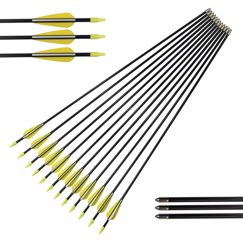 Elong Allamuigh 110010 ID5mm 30inch Fiberglass arrow TPU Veáin Cleachtas Lámhach Boghdóireacht