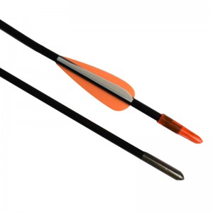 Elong Allamuigh 113179 id4mm id4mm id4mm arrow arrow Revurve Boghdóireacht Cleachtas Lámhach Bow