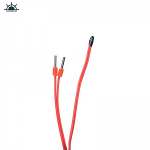 Soláthróir friotóir tSín saincheaptha ar ardchaighdeán 1k 10k 100k 100k Ohm B Luach 3950k NTC Braiteoir teochta teirmeastar