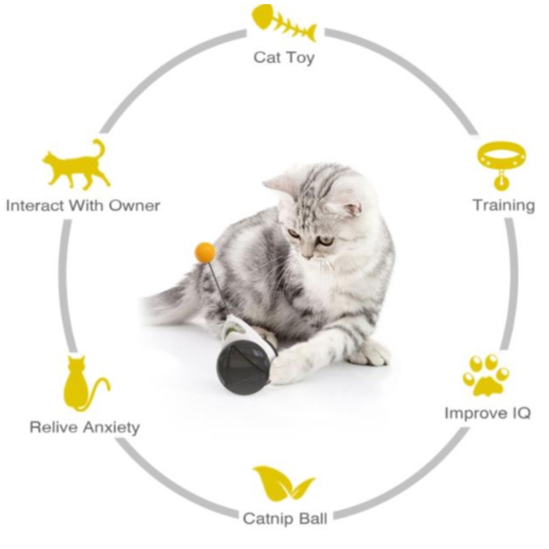 2021 Cat Cat Nua Cat Cat Cothrom Chasadh Cat Chasing Toy Idirghníomhach Swing Kitten Swing
