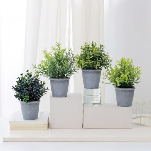 Féar saorga le díol