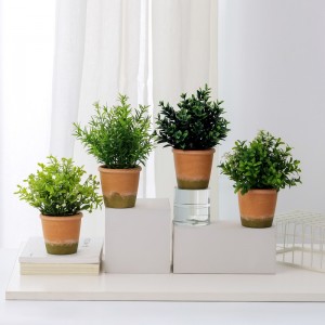 Féar saorga le díol