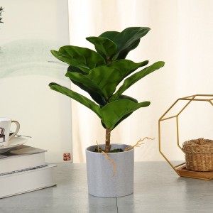 Díolachán iomlán a dhírigh ar ghléasra saorga i bpota