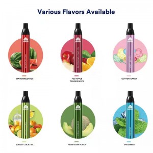 Bunaidh JFHB 2500PUFFanna indiúscartha Kit E togettes