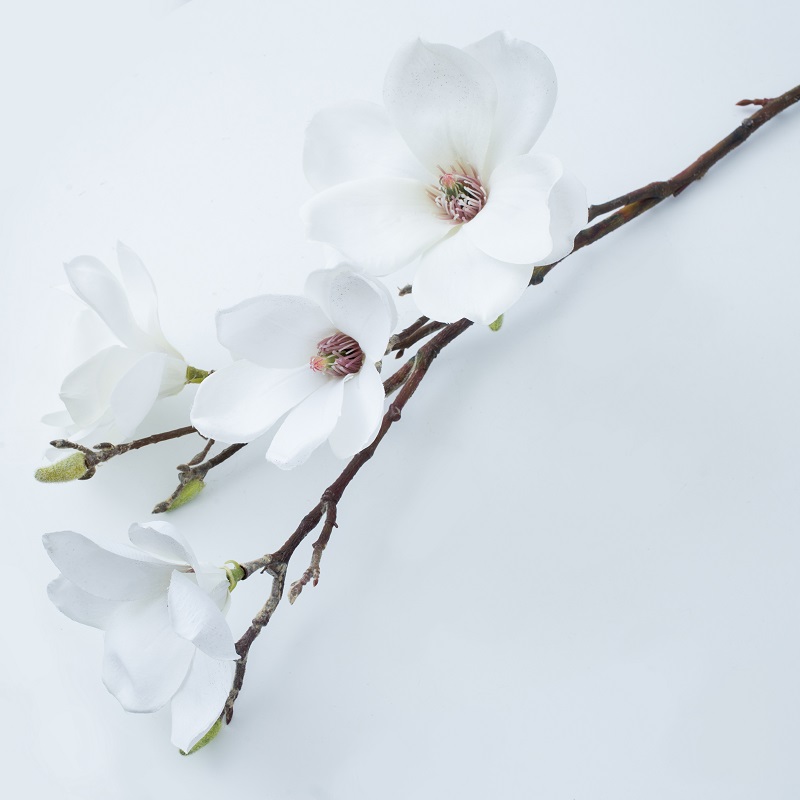 Soláthar Díreach Monarcha Brainse Long Magnolia Flower Flower Flower saorga le díol