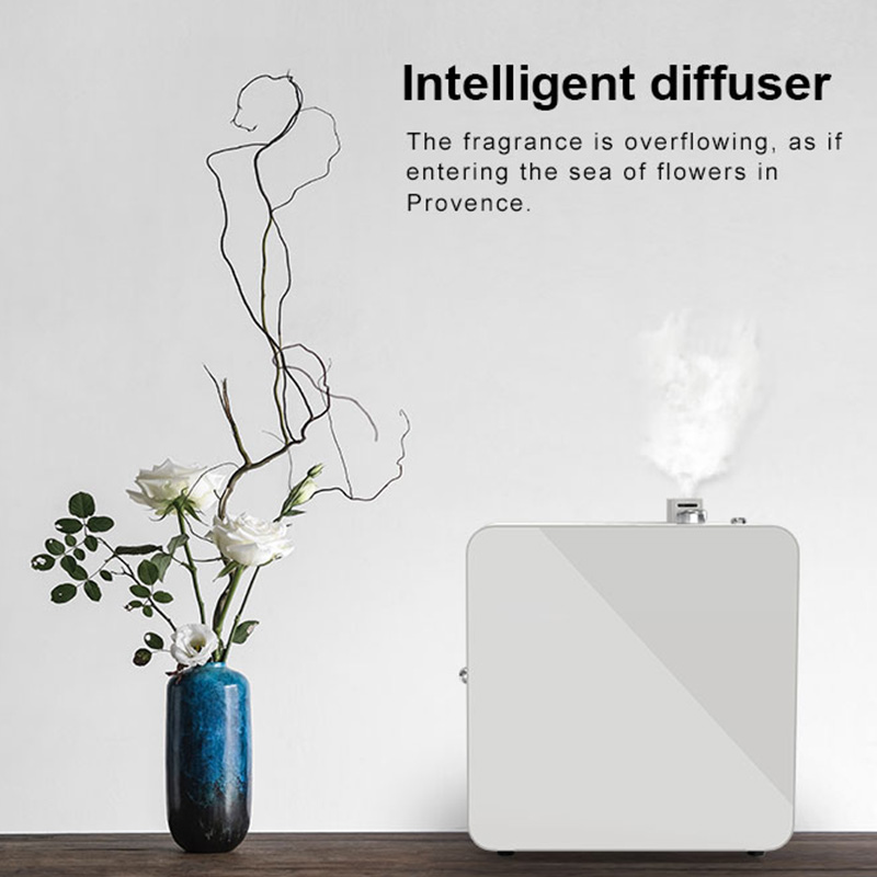 DF-1000aroma Diffuser