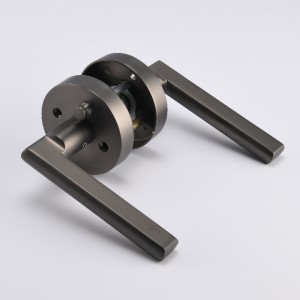 R7501 Príobháideacht Doras Príobháideachta Léargas Doras Intí Keyless Glas Doras