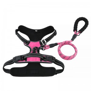 Dílseoidh an madra saincheapthaníolón machnaimh machnaimh madraí madraí mór le iall