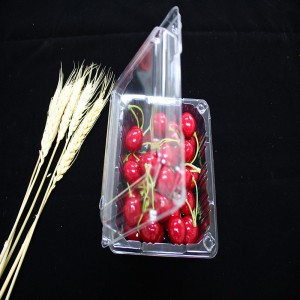 Pacáistiú bia Clamshell