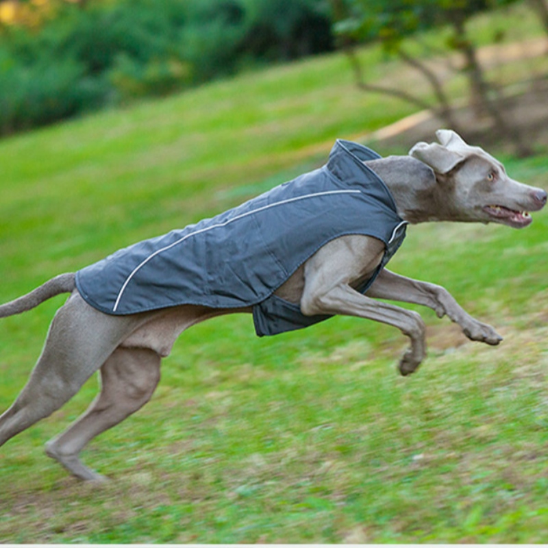 OEM/ODM gleoite Madraí Beaga Hoodie Coat Pet éadach Sweatshirt Puppy Puppy Cat Pullover Madraí Éadach Mórdhíola Madraí Cóta Geimhridh