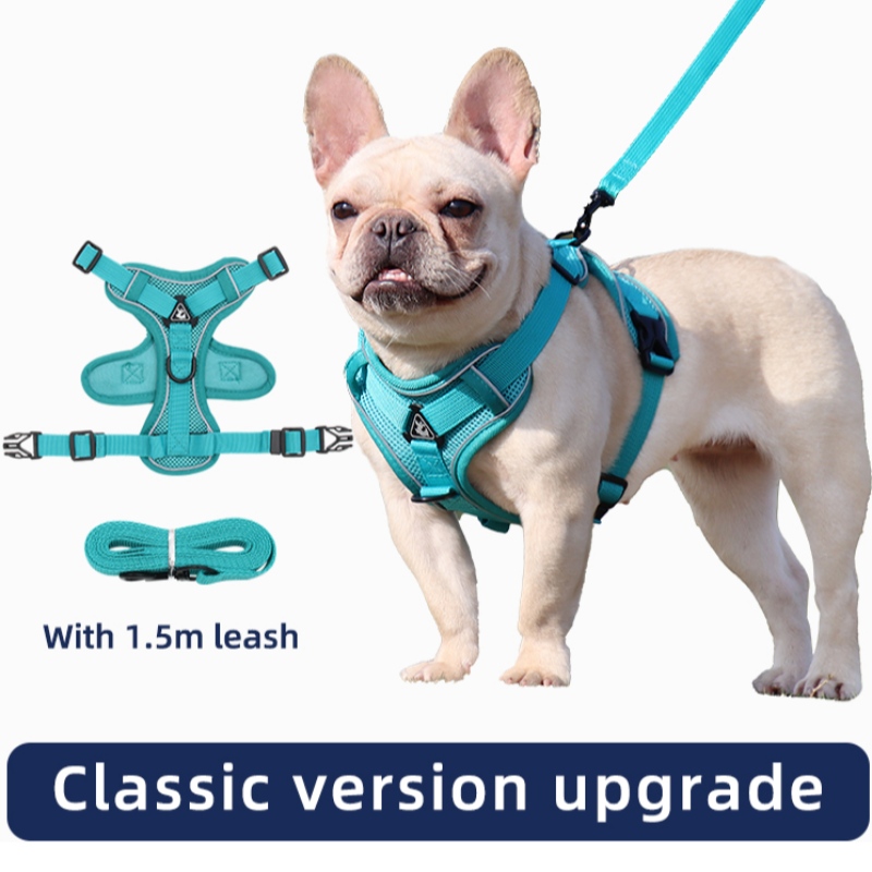 Faisean PET Vest Cineál Trating Trating Cineál Strap Cat Madraí Coigeartaithe Tarraingteach Tarraingteach Téad Rope Rope Rope Collar