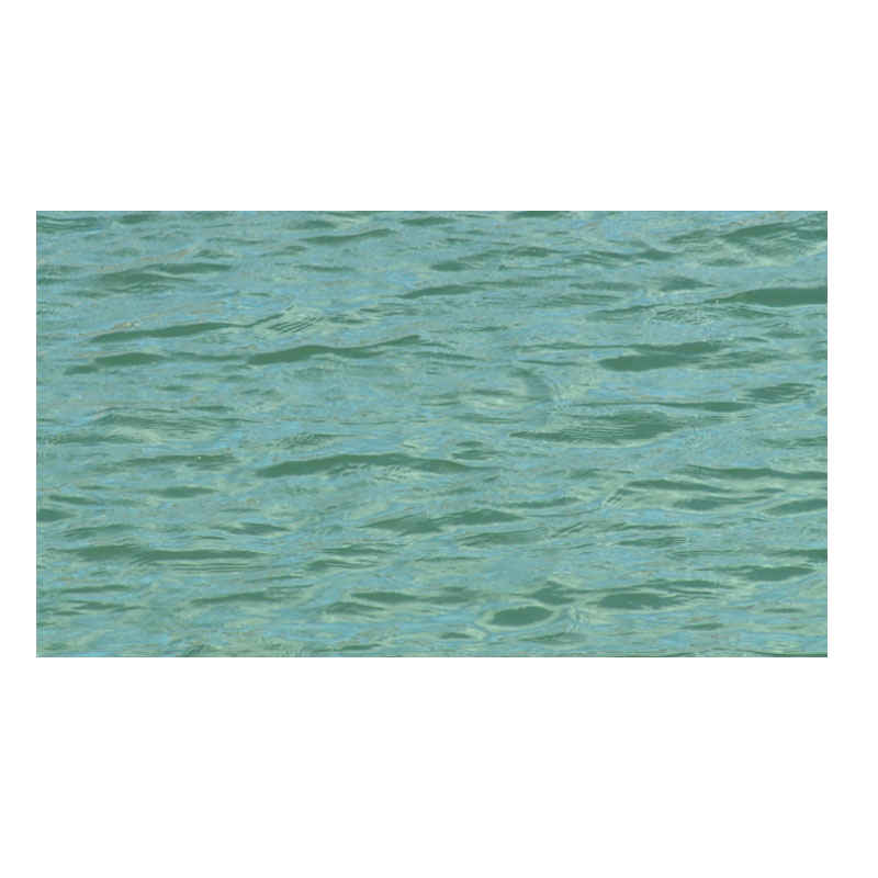 Tarrthálann Sábháilteacht Aigéin an teaghlach ar rafta inséidte