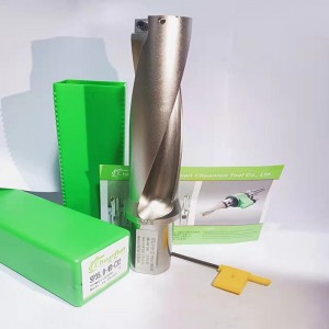 5d u druil isteach spmg