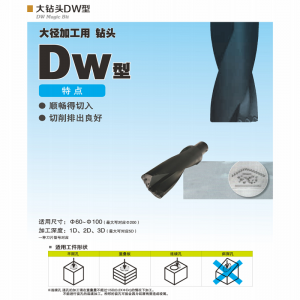 DWC Big Drill WCMT Cuir isteach