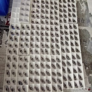 VCGT220530 Rothaí Carranna Tiomnaithe Tiomnaithe