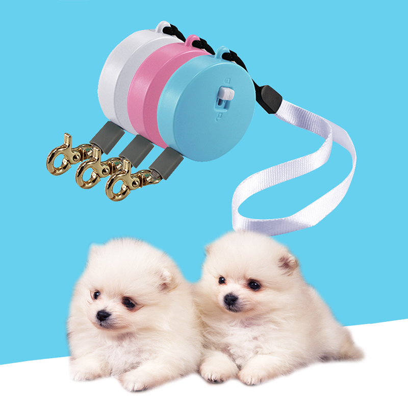 Leash Leash Siúlóide Iniompartha Mini Leash Madraí In -aisghabhála do Chait Madraí Beaga