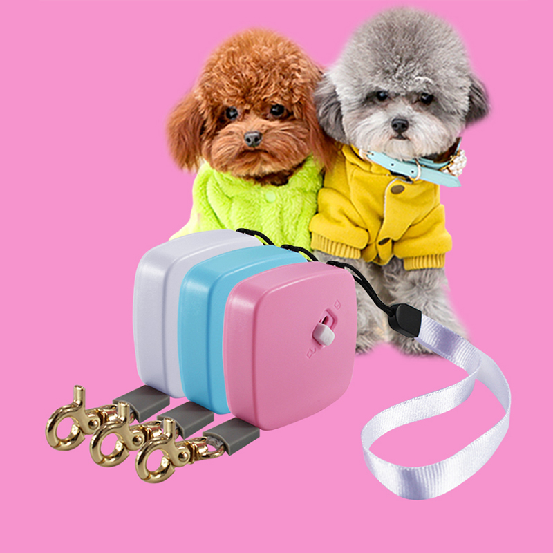 Leash Leash Siúlóide Iniompartha Mini Leash Madraí In -aisghabhála do Chait Madraí Beaga