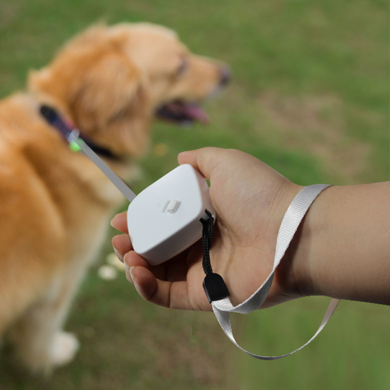 Leash Leash Siúlóide Iniompartha Mini Leash Madraí In -aisghabhála do Chait Madraí Beaga