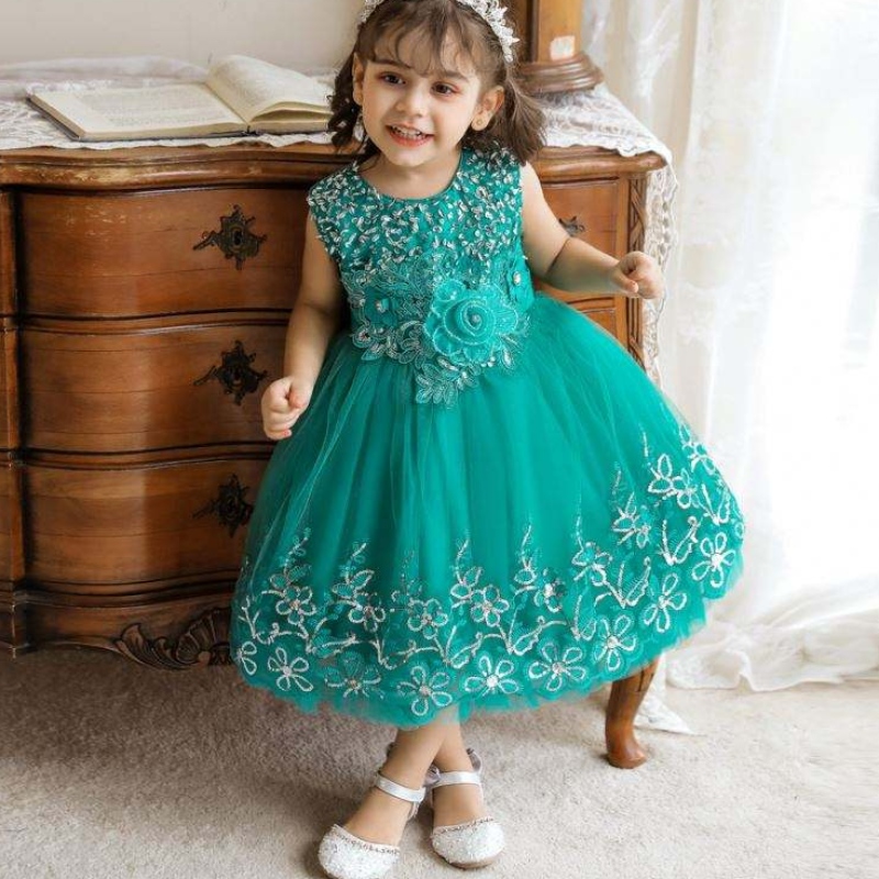 Gúna bláth bróidnéireachta baige páistí baige 0-5 bliana d’aois cailíní leanbh leanaí glan frock dearadh gúna cóisir bainise stylish do pháistí