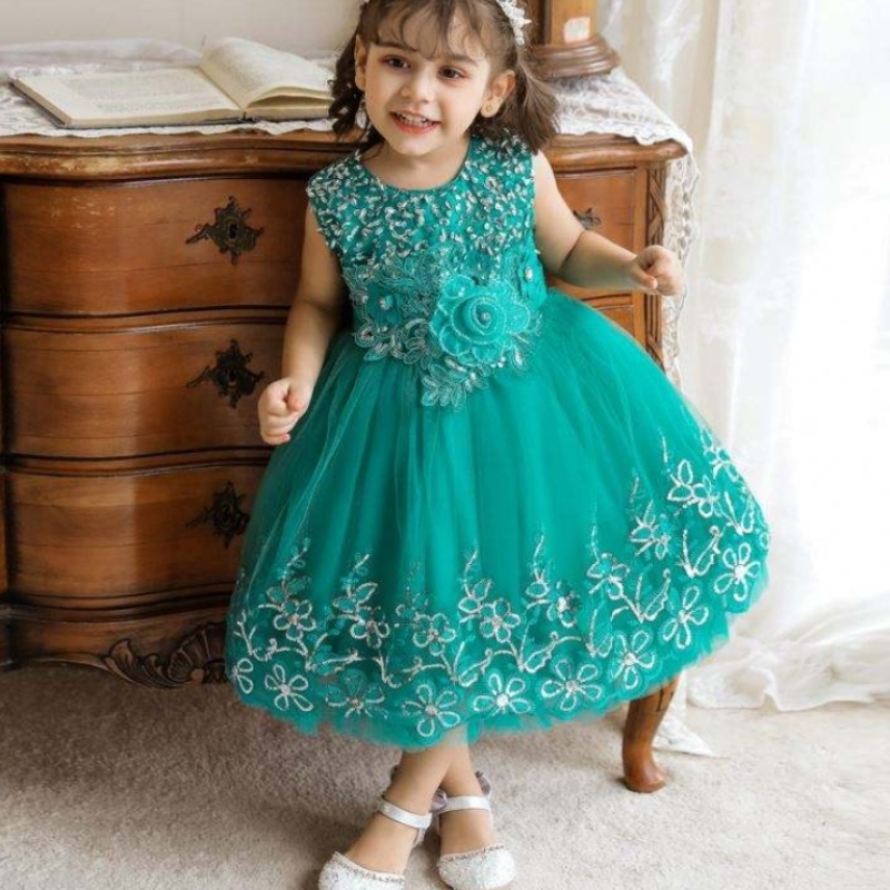 Gúna bláth bróidnéireachta baige páistí baige 0-5 bliana d’aois cailíní leanbh leanaí glan frock dearadh gúna cóisir bainise stylish do pháistí