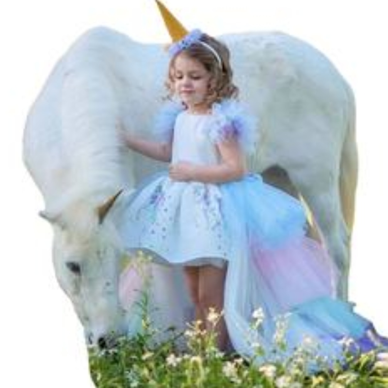 Gúna cóisir Unicorn do Chailíní Éadaí Gúna Samhraidh Leanaí Leanaí Cailín Galánta Caith Gúna Banphrionsa Le Traein Fada