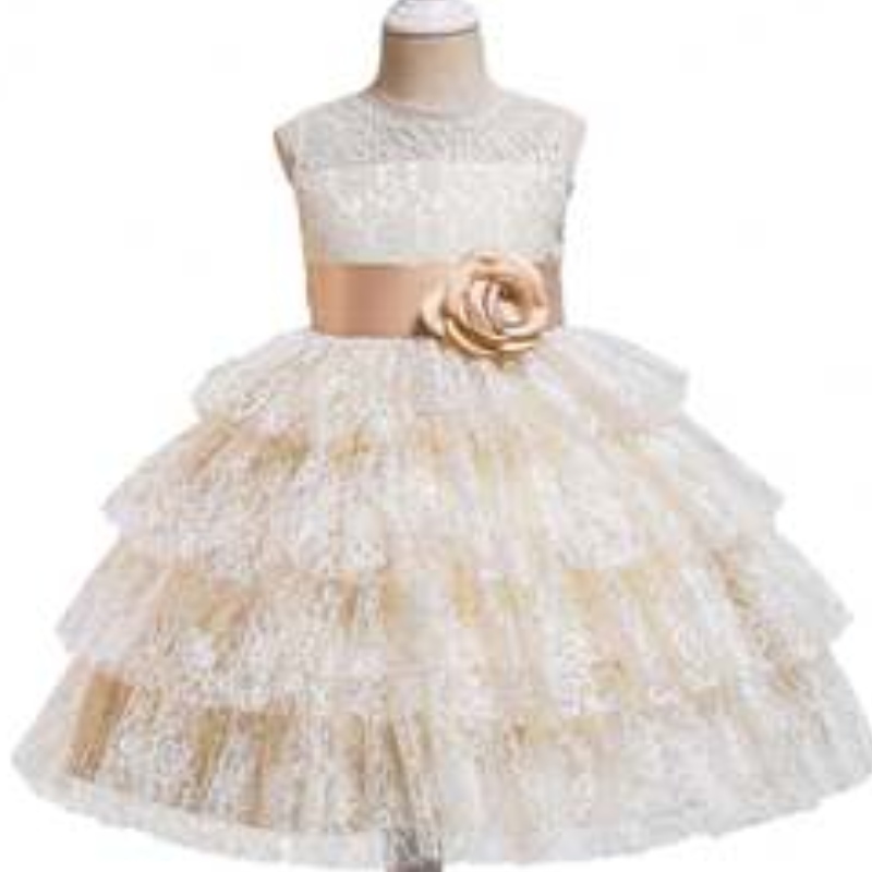 Leanaí Baige Nua Leanaí Banphrionsa Gúna Lása Lace Lace Leagan Sleeveless Cailín Bláthanna Gúnaí Bainise 3 - 49 píosa