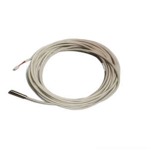IP68 Braiteoir Teochta NTC Uiscedhíonach NTC Thermistor NTC