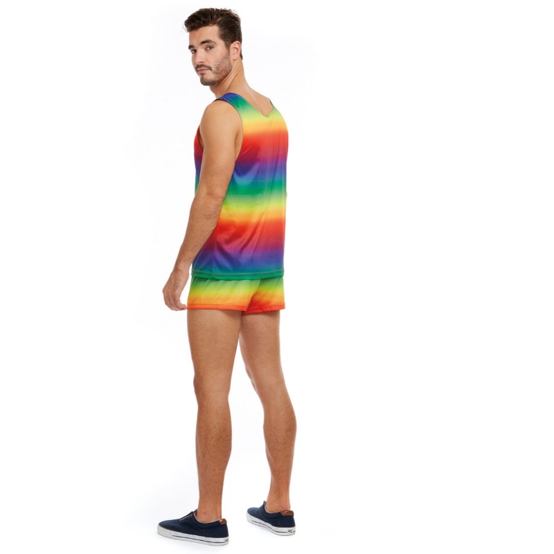 MEESTE RAINBOW kostüüm