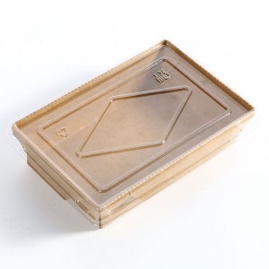 Sailéad Sailéad Bith -Díghrádaithe Bith -Díghrádaithe Saincheaptha Éicea -Chairdiúil