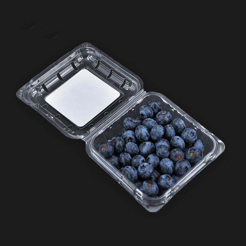 125g mórdhíola trédhearcach clamshell Blueberry Clamshell Coimeádán Torthaí Pacáistiú