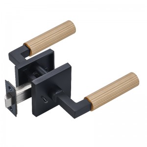 S7132 Glas Doras Cearnóg Nua -Aimseartha Ardchaighdeáin, Dualgas Trom Dearadh Nua -Aimseartha Dearadh Doras Dearadh Léargais Doras