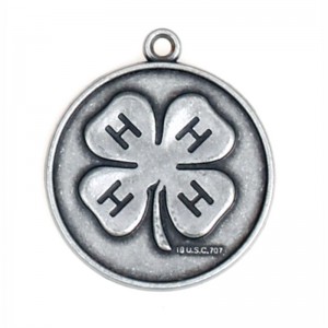 Is féidir Bonn Stoc Bonn Miotal Athphróiseáilte a dhéanamh