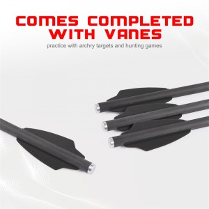 ElonGarrow 119612-02 Boltaí saighead carbóin 16cm le 2pcs 1.65inches vane dubh