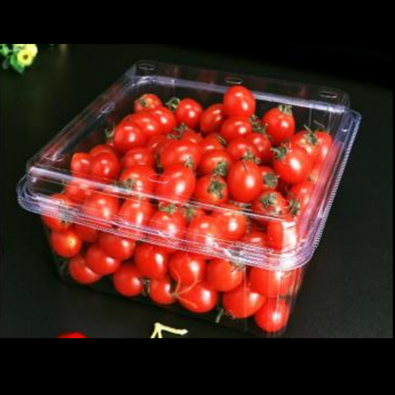Bosca torthaí le clúdach 175*175*90 mm Hgfn1000g