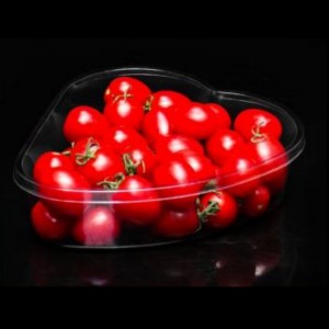 Bosca Cardioid 185*165*50 mm HJ N1904