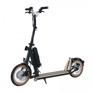 H10- 14inch Scooter Leictreach Folding Dúbailte