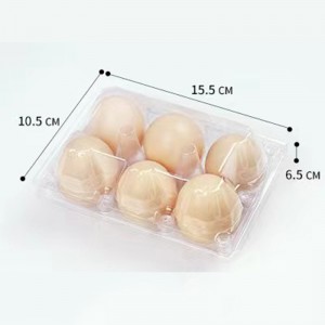 Tráidire uibhe 155*105*65 mm 6 grooves