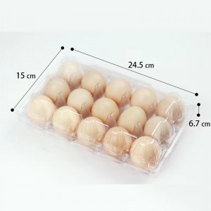 Tráidire uibhe 245*150*67 mm 15 grooves 42 g