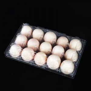 Tráidire uibhe 245*150*67 mm 15 grooves 42 g