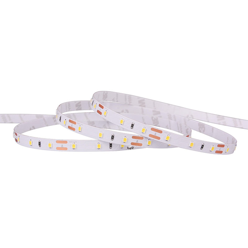 2835 60LED / M LED riba