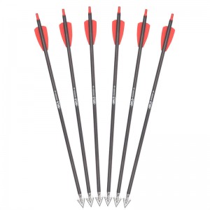 Boltaí crosbhogha 15inches RX le Broadheads Cruach Dhosmálta