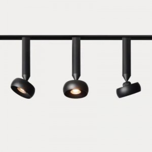 Maighnéad éadrom rian maighnéadach