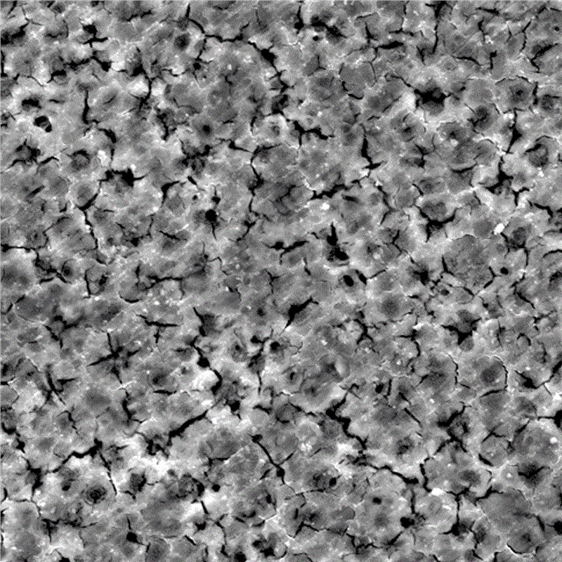 Spraeáil Teicneolaíocht de chóimhiotal maignéisiam