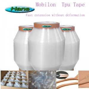 téip tpu leaisteach